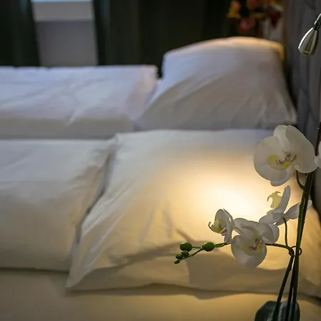 Luxury Mulino *